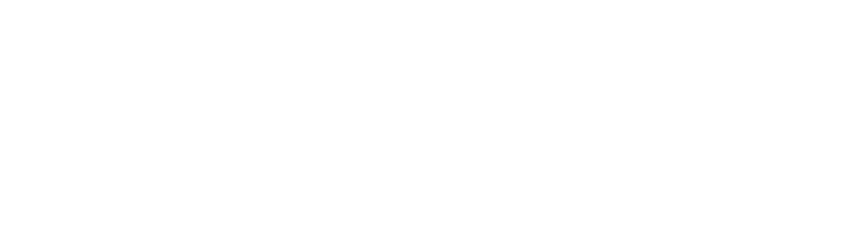 washup logo white
